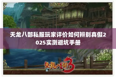 天龙八部私服玩家评价如何辨别真假2025实测避坑手册