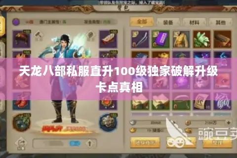 天龙八部私服直升100级独家破解升级卡点真相