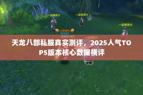 天龙八部私服真实测评，2025人气TOP5版本核心数据横评