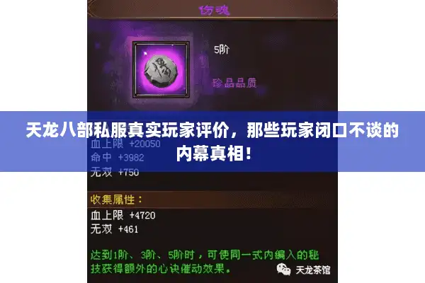 天龙八部私服真实玩家评价,那些玩家闭口不谈的内幕真相! 天龙八部私服真实玩家评价,那些玩家闭口不谈的内幕真相!