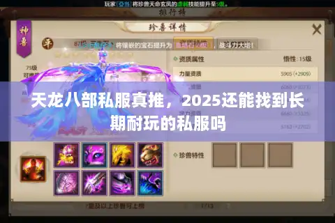 天龙八部私服真推，2025还能找到长期耐玩的私服吗