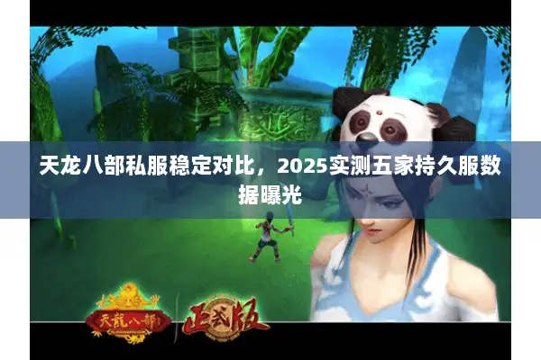 天龙八部私服稳定对比，2025实测五家持久服数据曝光