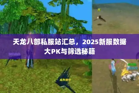 天龙八部私服站汇总,2025新服数据大PK与筛选秘籍 天龙八部私服站汇总,2025新服数据大PK与筛选秘籍