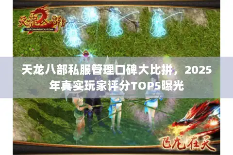 天龙八部私服管理口碑大比拼，2025年真实玩家评分TOP5曝光