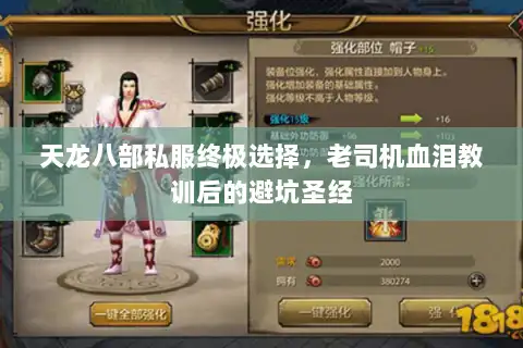 天龙八部私服终极选择，老司机血泪教训后的避坑圣经