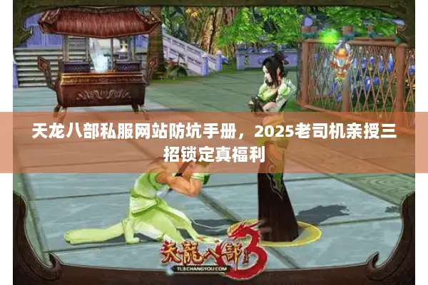 天龙八部私服网站防坑手册，2025老司机亲授三招锁定真福利