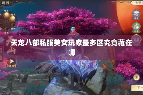天龙八部私服美女玩家最多区究竟藏在哪 天龙八部私服美女玩家最多区究竟藏在哪