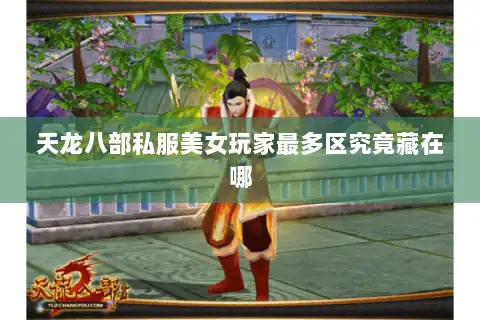 天龙八部私服美女玩家最多区究竟藏在哪 天龙八部私服美女玩家最多区究竟藏在哪