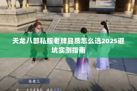 天龙八部私服老牌品质怎么选2025避坑实测指南