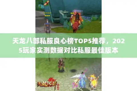 天龙八部私服良心榜TOP5推荐，2025玩家实测数据对比私服最佳版本