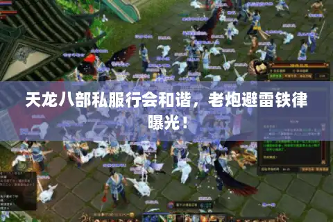 天龙八部私服行会和谐，老炮避雷铁律曝光！