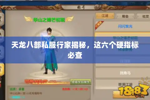 天龙八部私服行家揭秘,这六个硬指标必查 天龙八部私服行家揭秘,这六个硬指标必查