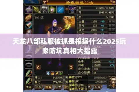 天龙八部私服被抓是根据什么2025玩家防坑真相大揭露 天龙八部私服被抓是根据什么2025玩家防坑真相大揭露