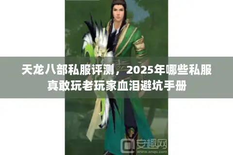 天龙八部私服评测，2025年哪些私服真敢玩老玩家血泪避坑手册