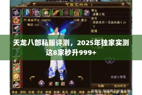 天龙八部私服评测，2025年独家实测这8家秒升999+