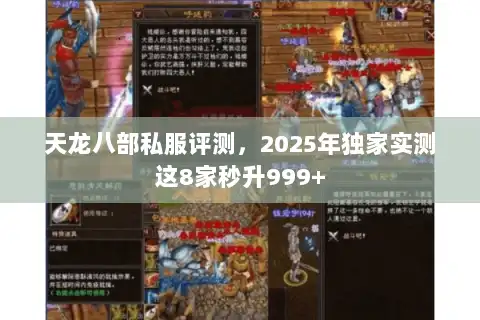 天龙八部私服评测，2025年独家实测这8家秒升999+
