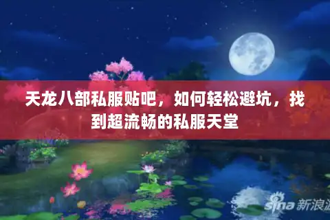 天龙八部私服贴吧，如何轻松避坑，找到超流畅的私服天堂