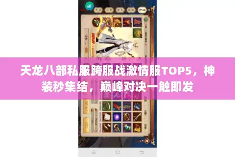 天龙八部私服跨服战激情服TOP5，神装秒集结，巅峰对决一触即发