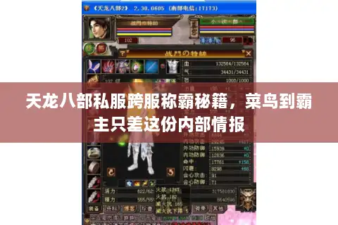 天龙八部私服跨服称霸秘籍,菜鸟到霸主只差这份内部情报 天龙八部私服跨服称霸秘籍,菜鸟到霸主只差这份内部情报