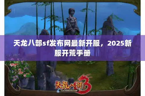 天龙八部sf发布网最新开服，2025新服开荒手册