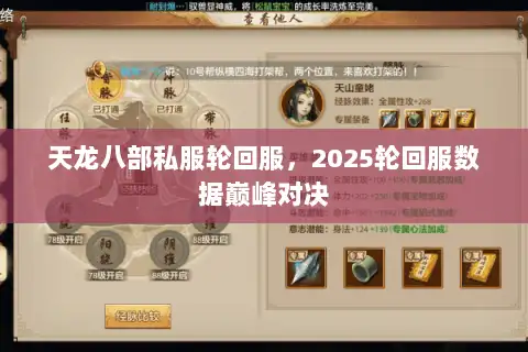 天龙八部私服轮回服，2025轮回服数据巅峰对决