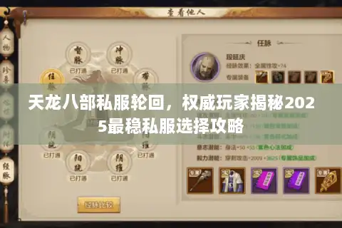 天龙八部私服轮回，权威玩家揭秘2025最稳私服选择攻略