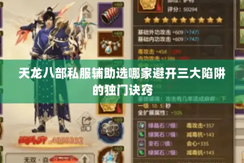 天龙八部私服辅助选哪家避开三大陷阱的独门诀窍