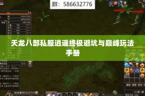 天龙八部私服逍遥终极避坑与巅峰玩法手册 天龙八部私服逍遥终极避坑与巅峰玩法手册