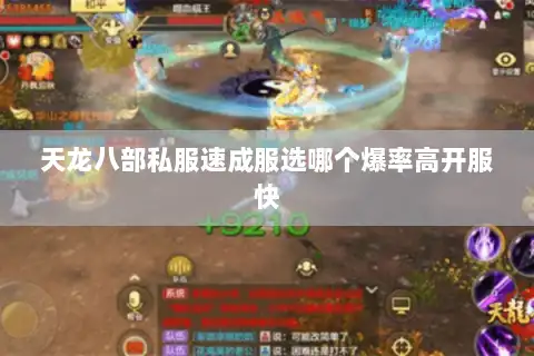 天龙八部私服速成服选哪个爆率高开服快