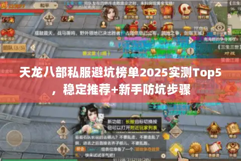 天龙八部私服避坑榜单2025实测Top5，稳定推荐+新手防坑步骤