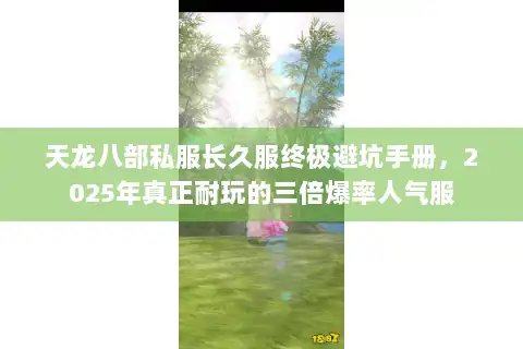 天龙八部私服长久服终极避坑手册，2025年真正耐玩的三倍爆率人气服