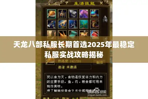 天龙八部私服长期首选2025年最稳定私服实战攻略揭秘 天龙八部私服长期首选2025年最稳定私服实战攻略揭秘