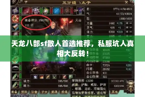 天龙八部sf散人首选推荐，私服坑人真相大反转！