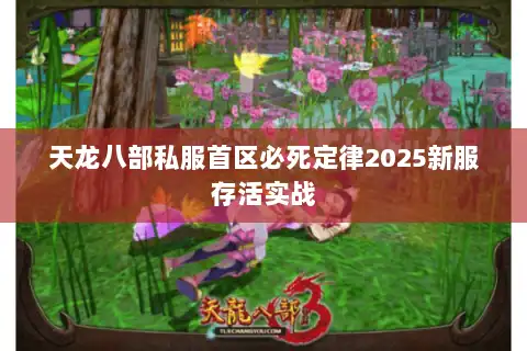 天龙八部私服首区必死定律2025新服存活实战 天龙八部私服首区必死定律2025新服存活实战