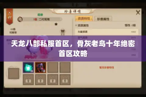 天龙八部私服首区，骨灰老鸟十年绝密首区攻略