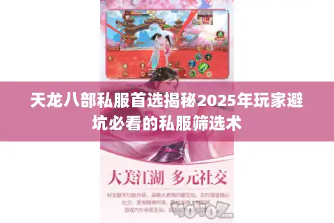 天龙八部私服首选揭秘2025年玩家避坑必看的私服筛选术