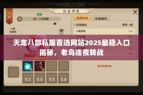 天龙八部私服首选网站2025最稳入口揭秘，老鸟连夜转战