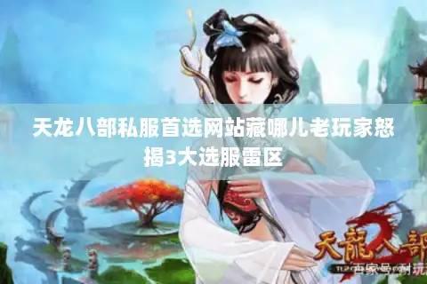 天龙八部私服首选网站藏哪儿老玩家怒揭3大选服雷区
