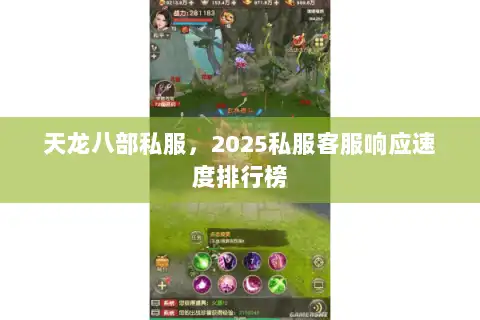 天龙八部私服，2025私服客服响应速度排行榜