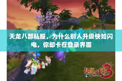 天龙八部私服，为什么别人升级快如闪电，你却卡在登录界面