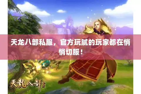 天龙八部私服，官方玩腻的玩家都在悄悄切服！
