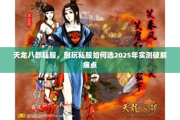 天龙八部私服，耐玩私服如何选2025年实测破解痛点