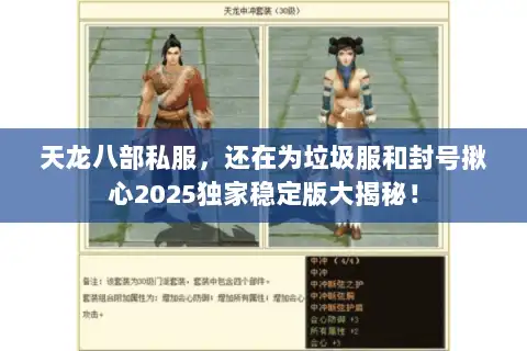 天龙八部私服，还在为垃圾服和封号揪心2025独家稳定版大揭秘！