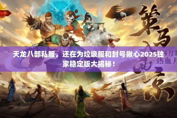 天龙八部私服，还在为垃圾服和封号揪心2025独家稳定版大揭秘！