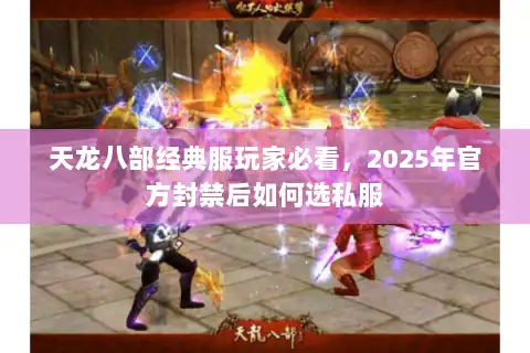 天龙八部经典服玩家必看，2025年官方封禁后如何选私服