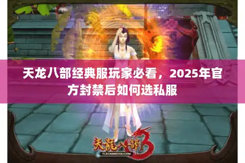 天龙八部经典服玩家必看，2025年官方封禁后如何选私服