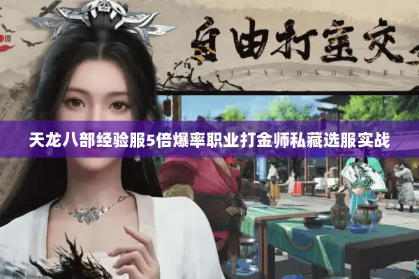 天龙八部经验服5倍爆率职业打金师私藏选服实战