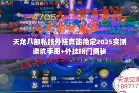 天龙八部私服外挂真能稳定2025实测避坑手册+外挂暗门揭秘