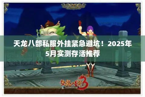 天龙八部私服外挂紧急避坑！2025年5月实测存活推荐
