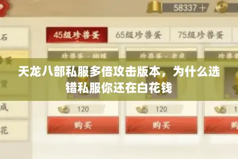 天龙八部私服多倍攻击版本，为什么选错私服你还在白花钱